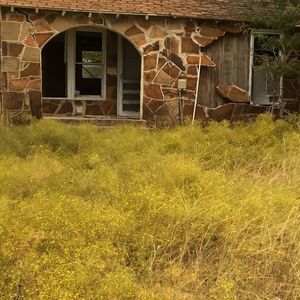 Meet your Posher, Shelah